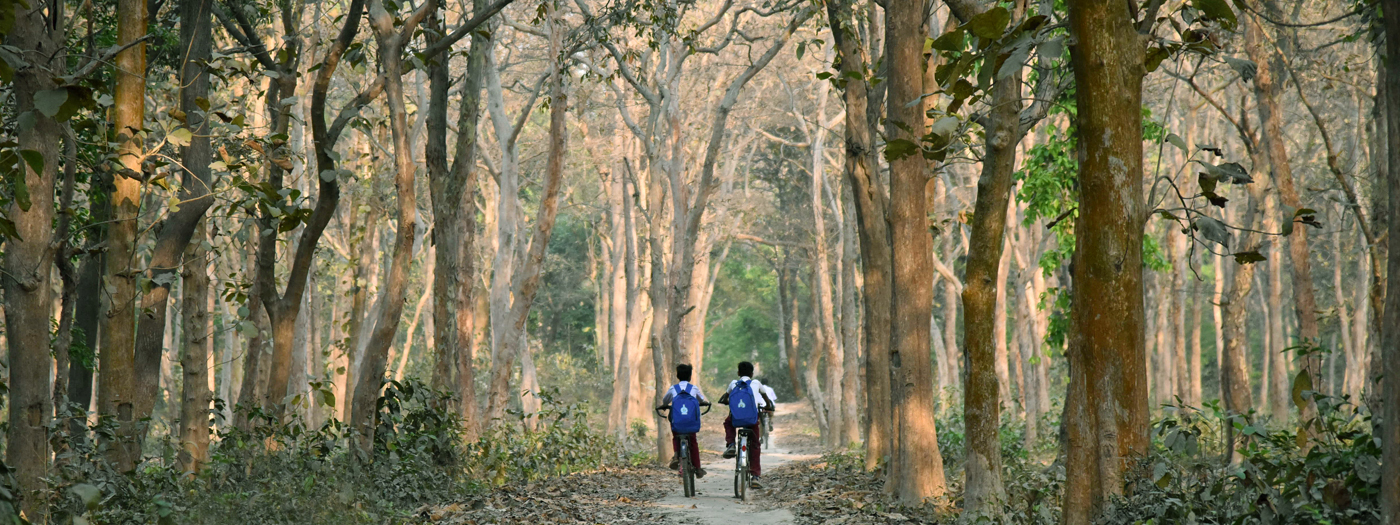 জেলা পরিষদ, দিনাজপুর
